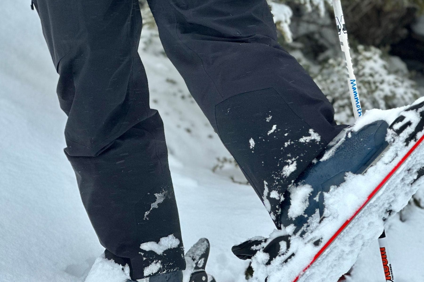 スノーボード Arc'teryx Sentinel Pants Arc'teryx Sentinel Pant - Women's | Skis.com